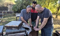 Pınarhisar’da Arılı Kovanlara Yönelik Kontroller Sürüyor