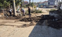 Kavaklı Belediyesi’nden Beldenin Dört Bir Yanında Kesintisiz Hizmet