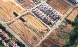 Göç yolundaki leylekler dronla görüntülendi