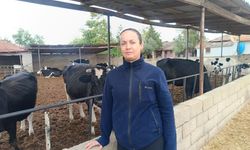 Kadın çiftçinin azmi devlet desteğiyle büyüdü: Edirne'de 5 hayvanla filizlenen umut, 30 hayvanla büyüdü