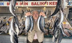 Palamutta bereket, kilosu 100 TLl’ye düştü