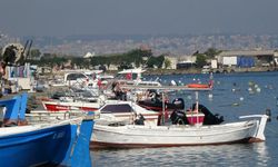 Karadeniz'de palamut alarmı: "Önüne ne gelirse yiyor, bir an önce hepsinin tutulması gerekiyor"
