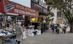 Kediyi kurtarmak isteyen eğitimci yere böyle çakıldı