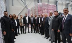 Kedi kumu fabrikası Türkiye'ye 50 milyon dolar döviz kazandırıyor