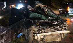 Büyükbaş hayvana çarpan otomobilin sürücüsü hayatını kaybetti