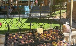 Kırklareli’nde Seyyar Tezgahta İncir Sezonu