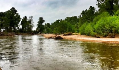 İğneada İlgi Çekiyor