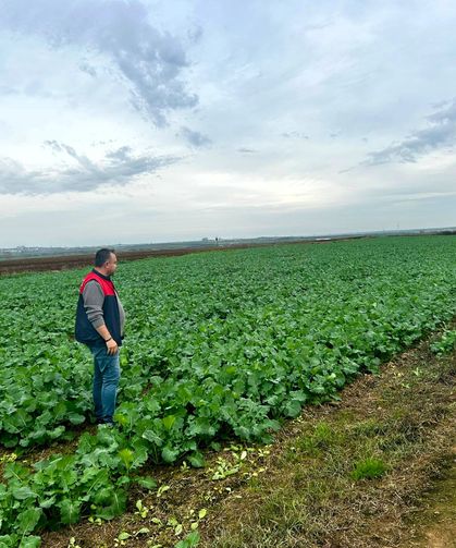 Lüleburgaz’da Fenolojik Gözlem ve Ürün Gelişim Takip Çalışmaları