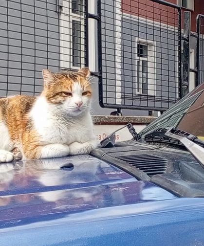 Kaput Üzerindeki Sessiz Tehlike