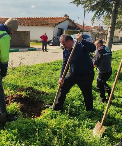İnece’de 900 Fidan Toprakla Buluştu