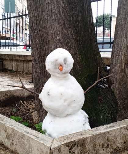Karlar Eridi, Kardan Adam Direniyor