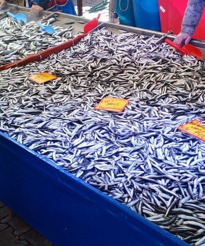 Cumartesi Pazarında Balık Tezgâhları Doldu, Fiyatlar Dikkat Çekti