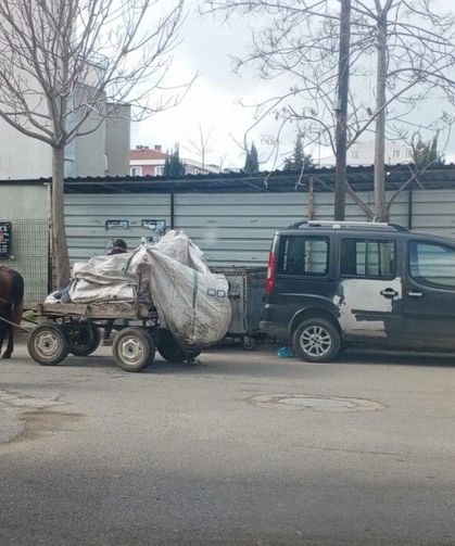 At Arabası ile Çöp Toplama Dikkat Çekti
