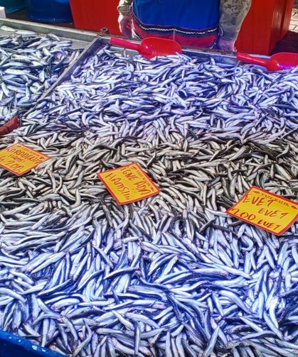 Cumartesi Pazarında Sabah Sakinliği, Balık Tezgâhlarında Yeni Fiyatlar