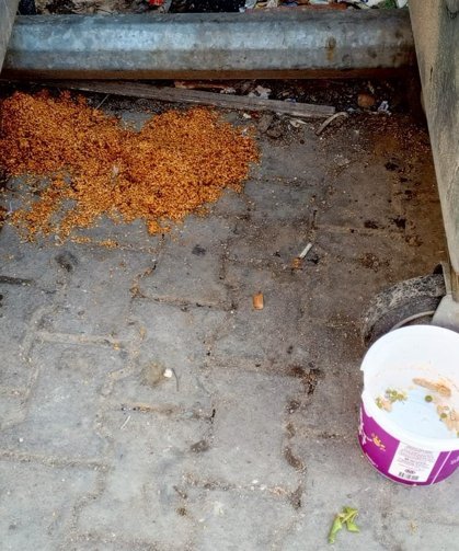 Çöplerin Yanına Bırakılan Yemek Artıkları Tepki Çekti