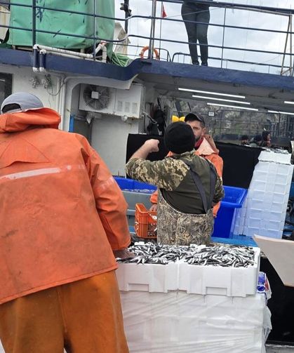 Kırklareli’nde Hamsi Denetimleri Sürüyor