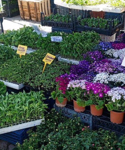 Baharın Renkleri Çarşıyı Sardı