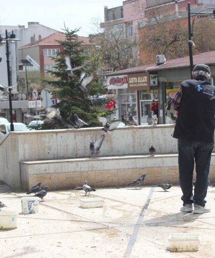 Kuşlar İçin Küçük Bir Meydan, Vatandaşlar İçin Huzurlu Bir Köşe