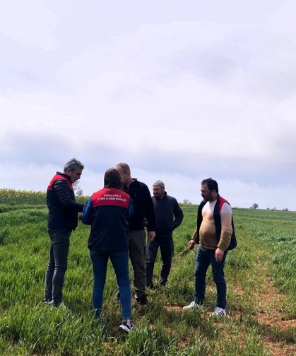 Hububat Alanlarında Saha Kontrolleri Sürüyor