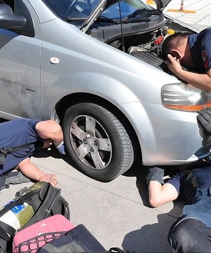 Otomobilin motor kısmındaki kediyi itfaiye çıkardı