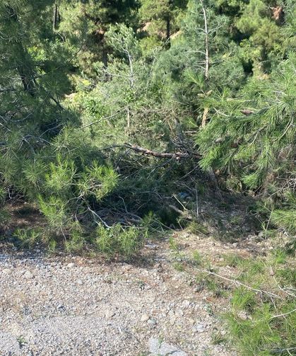 Uçuruma yuvarlanan traktör sürücüsü hayatını kaybetti