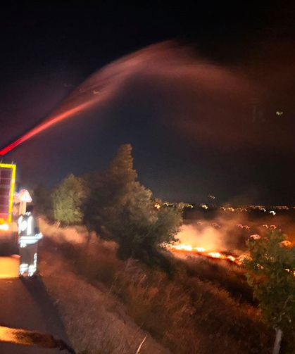 Hatay'da anız yangını zeytinliğe sıçradı: 200 dönüm arazi zarar gördü
