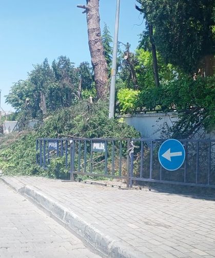 Kırklareli Huzurevinde Bakım Çalışması