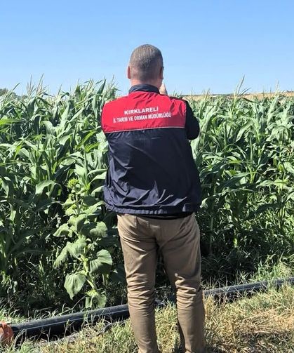 Lüleburgaz'da Referans Parsel Çalışmaları Sürüyor