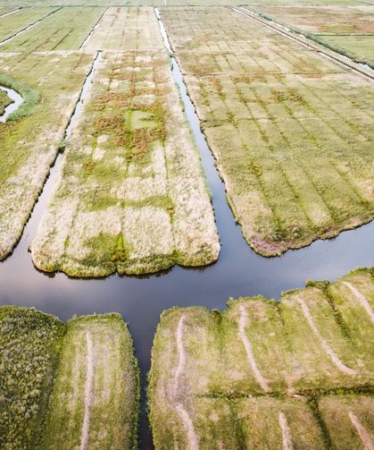 Hollanda'da "su kıtlığı" ilan edildi
