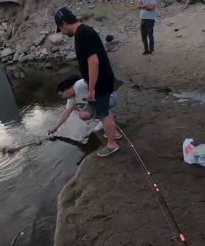 4 kişi yakalayamadı: Dev turna balığı son anda nehre kaçtı