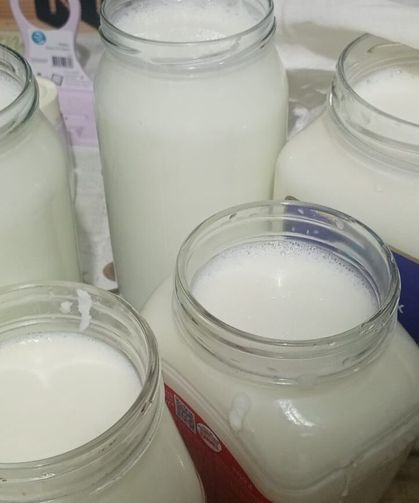 Kırklareli'nde Ev Yoğurdu Geleneği Yaşamaya Devam Ediyor