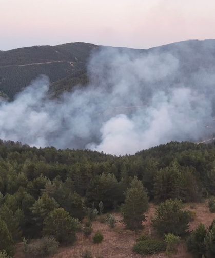Kastamonu’da çıkan orman yangını kontrol altına alındı