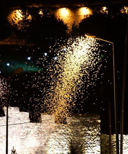 Ardahan'da "bir günlüklerin" ölüm uçuşu görsel şölene dönüştü