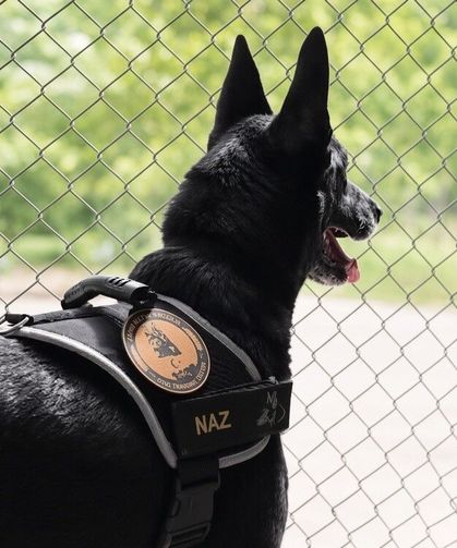 Narkotik operasyonlarının kahramanı narkotik köpeği emekli oldu