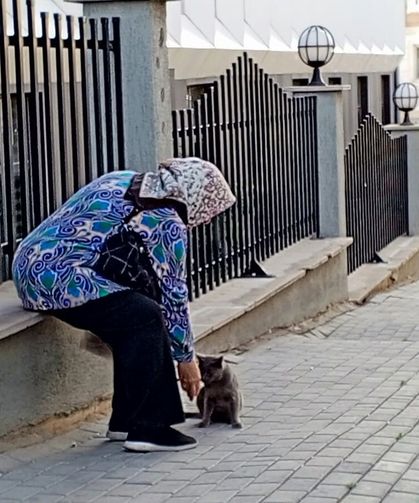 Kırklareli'nde Sokak Kedisini Besleyen Yaşlı Kadın Yürekleri Isıttı