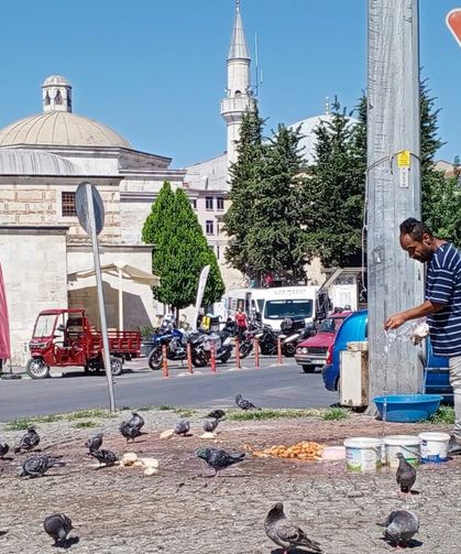 Sıcak Havada Güvercinlere Can Suyu ve Yemek