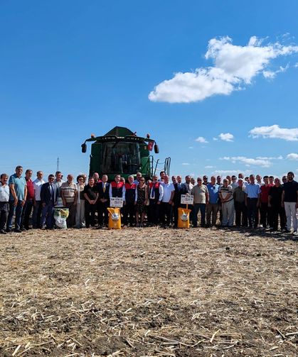 Lüleburgaz’da Yerli Hibrit Ayçiçeği Tohumları Tanıtıldı