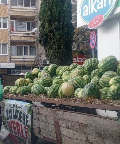 Market raflarında karpuz azaldı, Kavakdere karpuzu tezgâhlarda