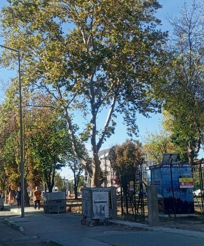 Soğuk Hava Kendini Hissettirdi