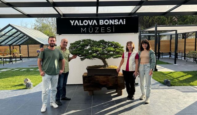 Türkiye’nin ilk bonsai müzesi bayramda ilgi gördü