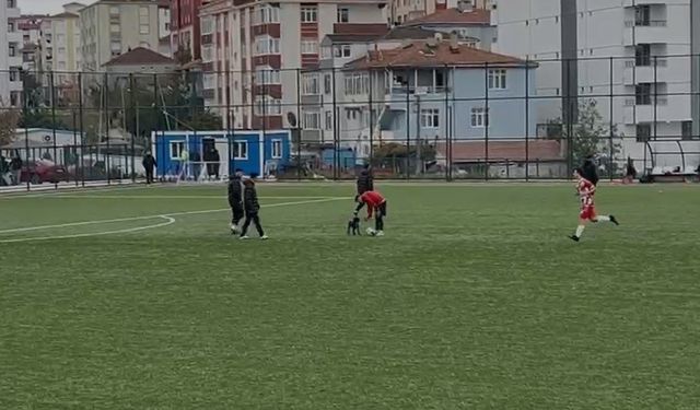 Sahanın sevimli ziyaretçisi futbolcuların antrenmanına ortak oldu