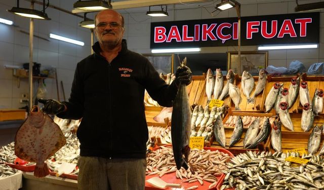 Palamuda veda, çinekop ve hamsi tezgahlarda