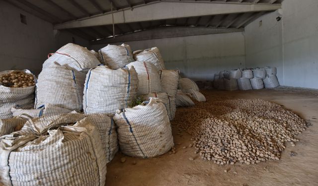 Ahlat'ta binlerce ton patates alıcı bekliyor