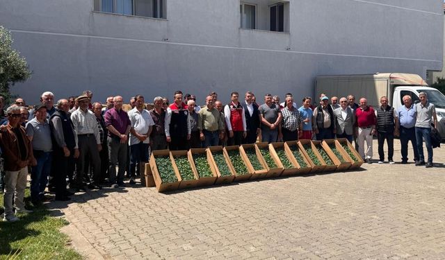 Tekirdağ’da 314 üreticiye 283 bin sebze fidesi dağıtıldı