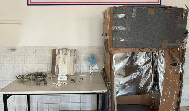 Jandarmadan uyuşturucu ve silah operasyonu