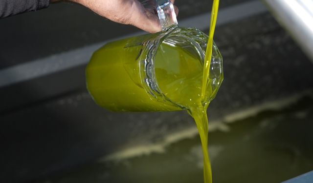 Sıcaktan bunalanlara serinlemek için zeytinyağı önerisi