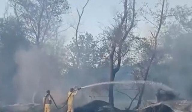 Edirne'de Meriç Nehri kenarındaki adacığa atılan çöplerden yangın çıktı