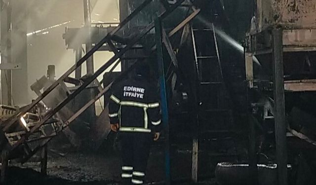 Edirne'de pelet fabrikasında yangın