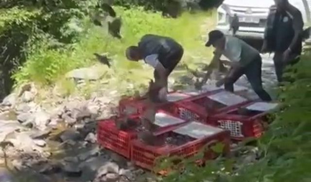 Kene ile mücadele timleri doğaya salındı