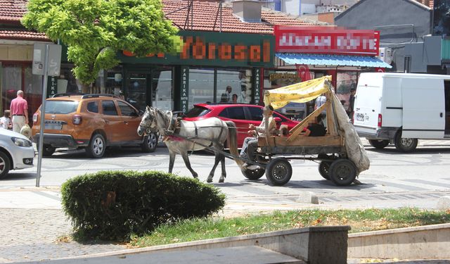 Bir Fotoğraf, Birden Fazla Gerçek